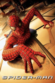 Spider Man (2002) Hindi Dual Audio Bluray 720p [800MB] Download